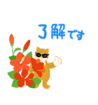 夏の挨拶、猫と花いっぱい（個別スタンプ：11）