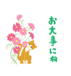 夏の挨拶、猫と花いっぱい（個別スタンプ：17）