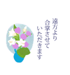 夏の挨拶、猫と花いっぱい（個別スタンプ：24）