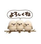 ゆるふわシマエナガの夏（個別スタンプ：27）