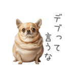 実は太ってるチワワ【面白い】（個別スタンプ：6）