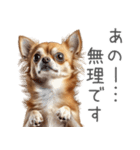 実は太ってるチワワ【面白い】（個別スタンプ：8）