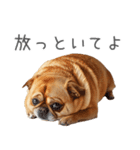 実は太ってるチワワ【面白い】（個別スタンプ：26）