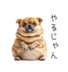 実は太ってるチワワ【面白い】（個別スタンプ：28）