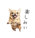 実は太ってるチワワ【面白い】（個別スタンプ：29）