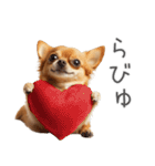 実は太ってるチワワ【面白い】（個別スタンプ：30）