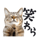 祈る猫（個別スタンプ：9）