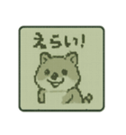 ピクセルドットなクオッカ劇場1（個別スタンプ：30）