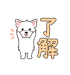 『ウエスティ』毎日使えるデカ文字（個別スタンプ：3）