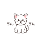 『ウエスティ』毎日使えるデカ文字（個別スタンプ：4）