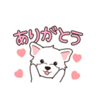 『ウエスティ』毎日使えるデカ文字（個別スタンプ：5）