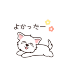 『ウエスティ』毎日使えるデカ文字（個別スタンプ：6）
