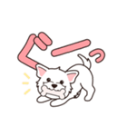 『ウエスティ』毎日使えるデカ文字（個別スタンプ：7）