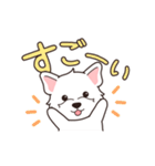 『ウエスティ』毎日使えるデカ文字（個別スタンプ：8）