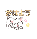 『ウエスティ』毎日使えるデカ文字（個別スタンプ：13）