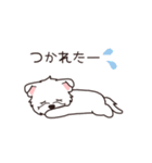 『ウエスティ』毎日使えるデカ文字（個別スタンプ：16）