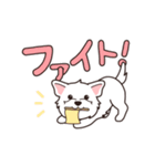 『ウエスティ』毎日使えるデカ文字（個別スタンプ：20）
