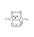 『ウエスティ』毎日使えるデカ文字（個別スタンプ：21）