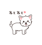 『ウエスティ』毎日使えるデカ文字（個別スタンプ：22）