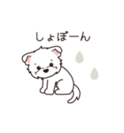 『ウエスティ』毎日使えるデカ文字（個別スタンプ：23）