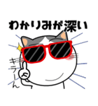 ハチワレ猫★推し活（個別スタンプ：6）