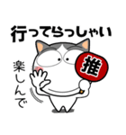 ハチワレ猫★推し活（個別スタンプ：11）