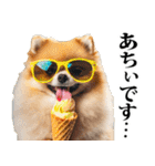 夏☆ポメラニアン（敬語）（個別スタンプ：2）