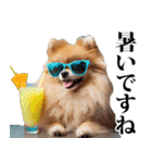 夏☆ポメラニアン（敬語）（個別スタンプ：7）