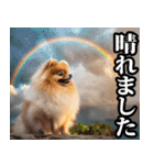 夏☆ポメラニアン（敬語）（個別スタンプ：31）