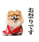 夏☆ポメラニアン（敬語）（個別スタンプ：33）