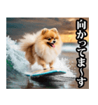 夏☆ポメラニアン（敬語）（個別スタンプ：36）