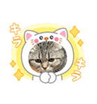 コロとピノのスタンプ③（個別スタンプ：10）