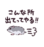 ジャンガリアンハムスターです.（個別スタンプ：7）