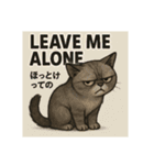 目つきの悪い猫1(英語)（個別スタンプ：5）