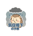 頭痛あるあるハリネズミ（個別スタンプ：8）