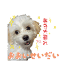 堀口家のサンジくん〜秩父弁ver.〜（個別スタンプ：6）