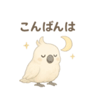 モフモフ白いオウムのまいにちスタンプ（個別スタンプ：3）