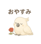 モフモフ白いオウムのまいにちスタンプ（個別スタンプ：4）