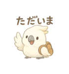 モフモフ白いオウムのまいにちスタンプ（個別スタンプ：6）