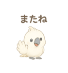 モフモフ白いオウムのまいにちスタンプ（個別スタンプ：7）