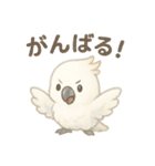 モフモフ白いオウムのまいにちスタンプ（個別スタンプ：10）