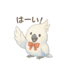 モフモフ白いオウムのまいにちスタンプ（個別スタンプ：12）