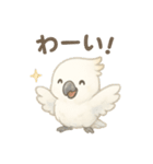 モフモフ白いオウムのまいにちスタンプ（個別スタンプ：16）