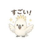 モフモフ白いオウムのまいにちスタンプ（個別スタンプ：17）