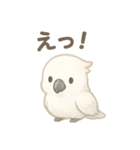 モフモフ白いオウムのまいにちスタンプ（個別スタンプ：18）