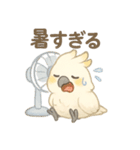 モフモフ白いオウムのまいにちスタンプ（個別スタンプ：28）