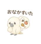 モフモフ白いオウムのまいにちスタンプ（個別スタンプ：31）