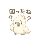 モフモフ白いオウムのまいにちスタンプ（個別スタンプ：37）