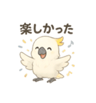 モフモフ白いオウムのまいにちスタンプ（個別スタンプ：39）