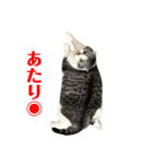 福とあたり（個別スタンプ：2）